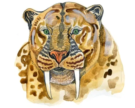 Kids' Quiz: Unpacking Curious Questions Regarding Nature