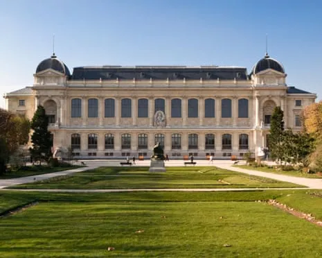 Invaluable Golden Pieces Taken in Audacious Robbery at French Natural History Institution