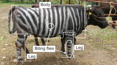 Black-and-White Bovines and Teflon Food Claim Tongue-in-Cheek Research Honors