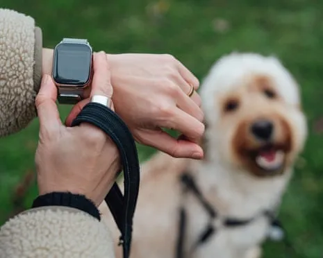 The Truth Concerning Smartwatches? Living Is Better Devoid of a Bossy Gadget on Your Wrist